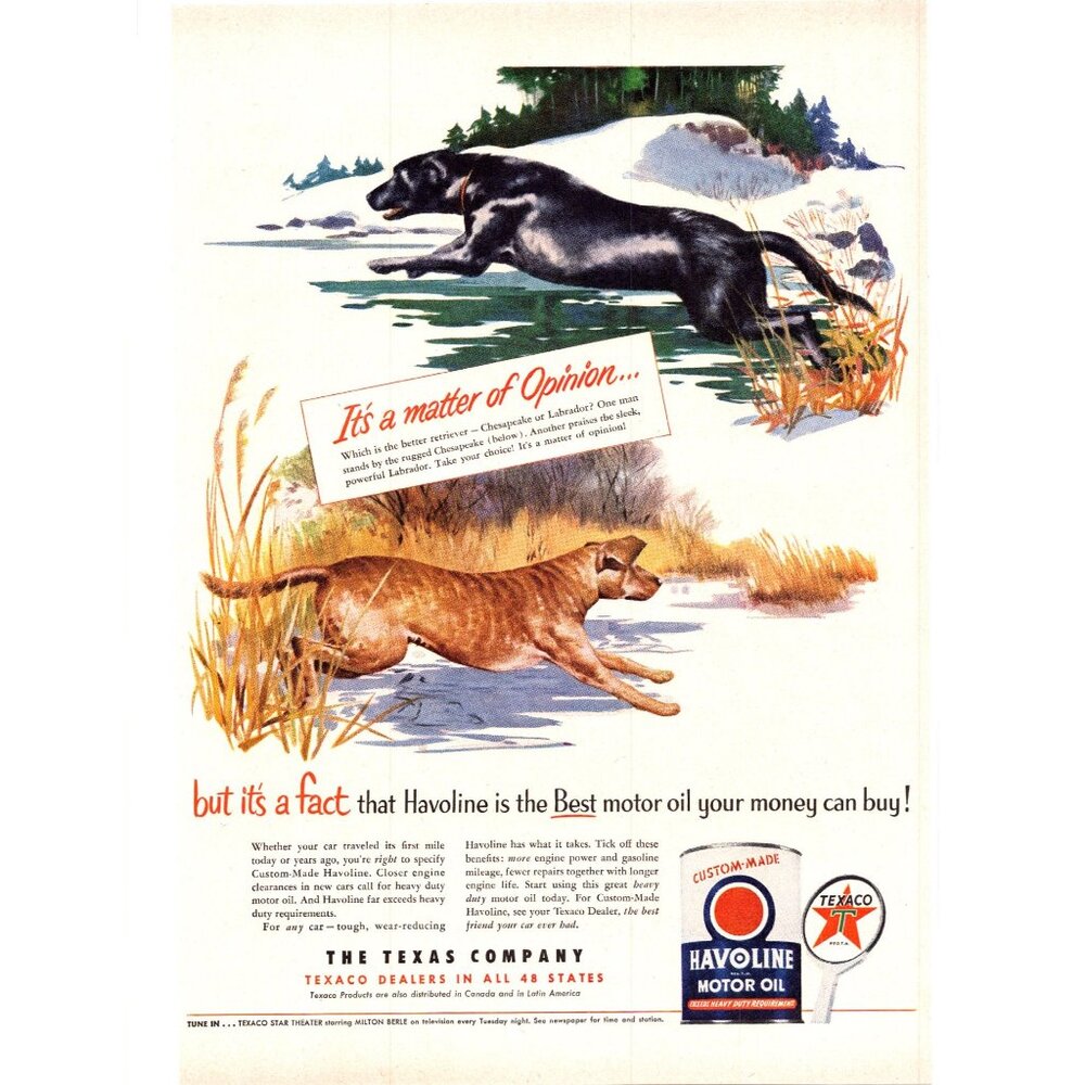 1951 Texaco Halvoline Motor Oil Vintage Print Ad Chesapeake Labrador Wall Art